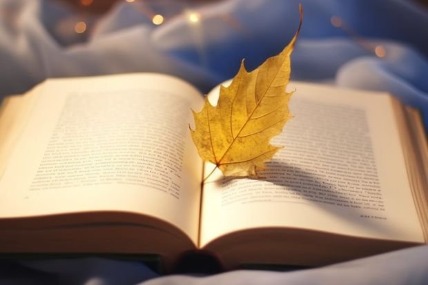 47 | 35mg官网电子游戏app