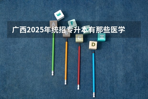2024-11-11 04