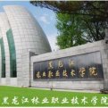 mg官网电子游戏