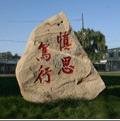 mg官网电子游戏