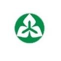 mg官网电子游戏