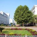 mg官网电子游戏