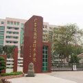 mg官网电子游戏