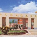 mg官网电子游戏