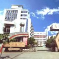 mg官网电子游戏