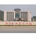 mg官网电子游戏