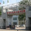 mg官网电子游戏