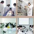 mg官网电子游戏
