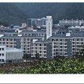 mg官网电子游戏