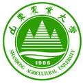 mg官网电子游戏