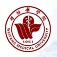 mg官网电子游戏