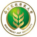 mg官网电子游戏