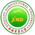 mg官网电子游戏