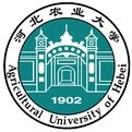 mg官网电子游戏