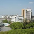 mg官网电子游戏