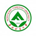 mg官网电子游戏