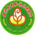 mg官网电子游戏